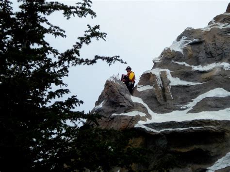 The Return of the Matterhorn Bobsleds – Remain Seated, Please