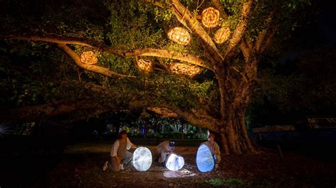 From Giant Lilies to Mini Queenslanders, This Is What Brisbane's Botanica Festival Looks Like in ...