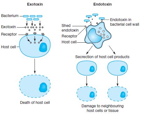 Exotoxins