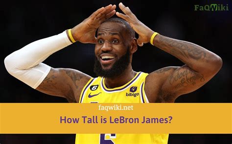 How Tall is LeBron James? | FaQWiki