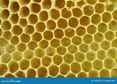 Beeswax honeycomb stock image. Image of beeswax, closeup - 14962745