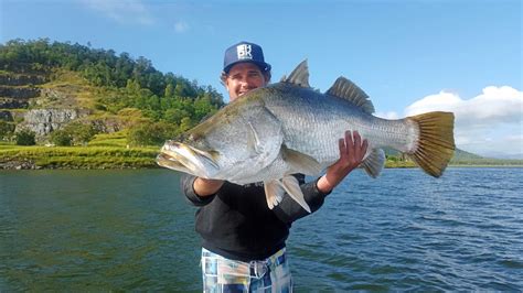 Barramundi season reopens in Queensland in February | Fraser Coast Chronicle