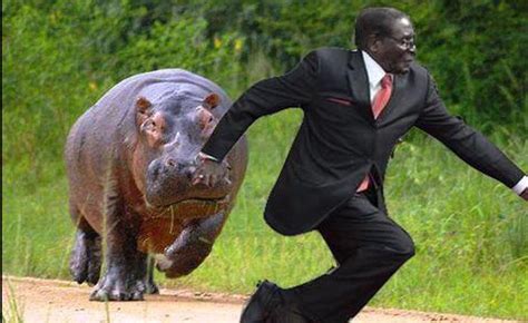 Robert Mugabe Has Become A Sensational Meme With #MugabeFalls | Fun