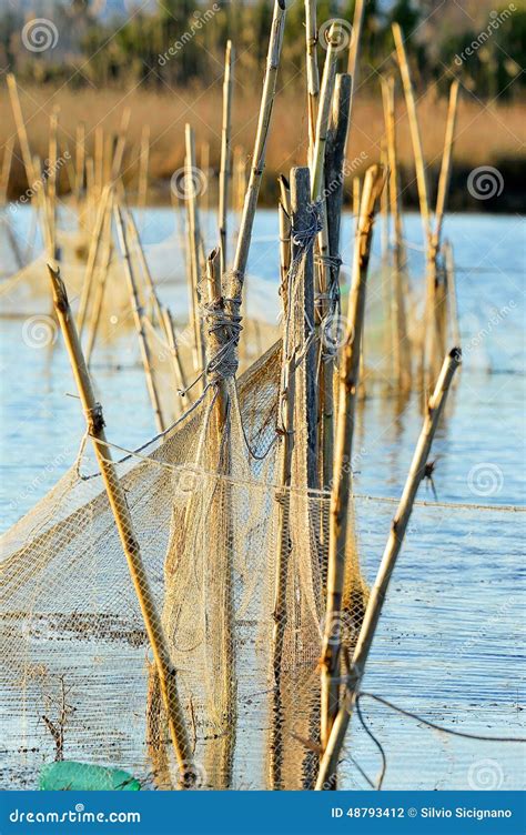 Fishing Net Picture,fishing Net Viewing,trap,entrapment,Fishing Net Image,lake,job Stock Photo ...