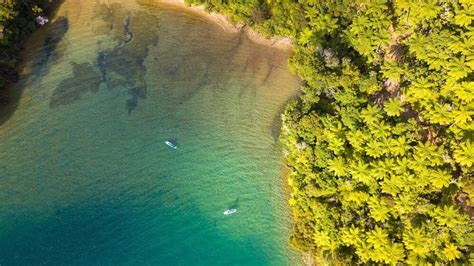 New Zealand Marlborough Sounds Cruise - Heritage Expeditions