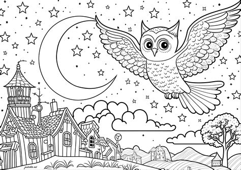 - Owls Adult Coloring Pages