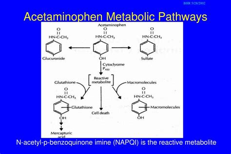 PPT - Acetaminophen Hepatotoxicity PowerPoint Presentation, free download - ID:5156466