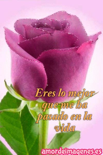 imágenes de rosas con movimiento para Facebook | Imágenes de flores hermosas, Rosas con mensajes ...