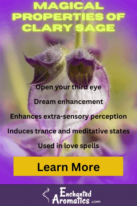 What Are The Magical Properties Of Clary Sage? | Enchanted Aromatics in ...