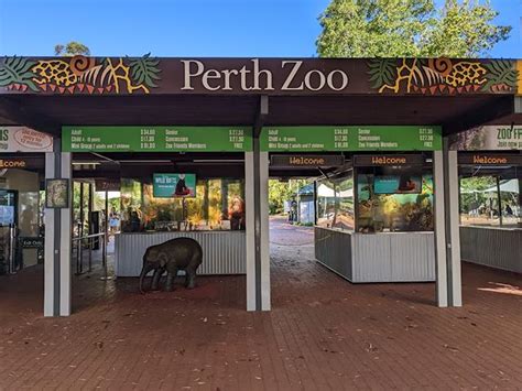 Best 4 Things to Do in Perth Zoo