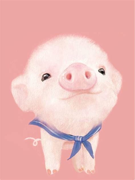 Cute pig wallpaper | Pig wallpaper, Cute pigs, Pig illustration