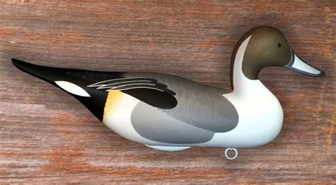 Pintail Drake | Decoy carving, Bird carving, Duck decoys