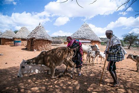 Drought Endangers Millions in Somali, Oromia Regions. Response Remains ...