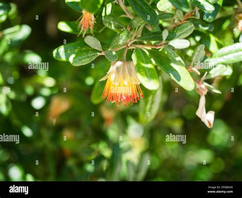 Family spring bay australia hi-res stock photography and images - Alamy