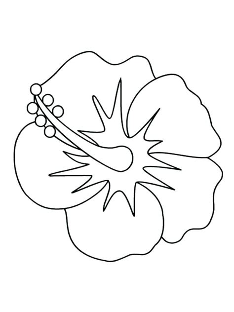 Hawaiian Flower Coloring Page at GetColorings.com | Free printable ...