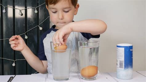 Egg Float In Salt Water Science Fair Project