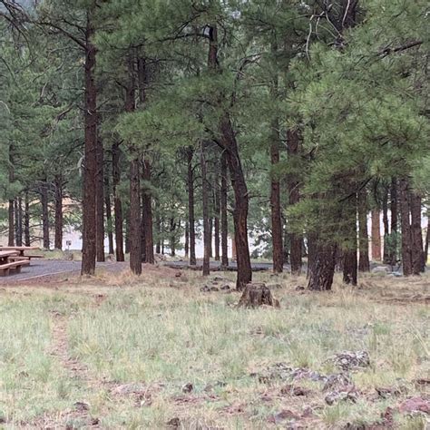 Kaibab National Forest Kaibab Lake Campground | The Dyrt