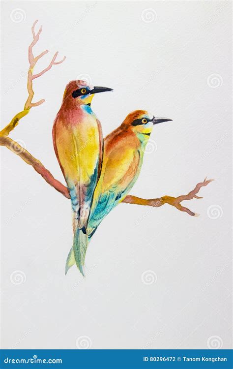 Watercolor Bird Painting Original Realistic Colorful of Bird Lovers Stock Illustration ...