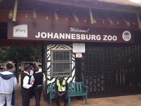 Johannesburg Zoo | Johannesburg, South africa, Amazing adventures