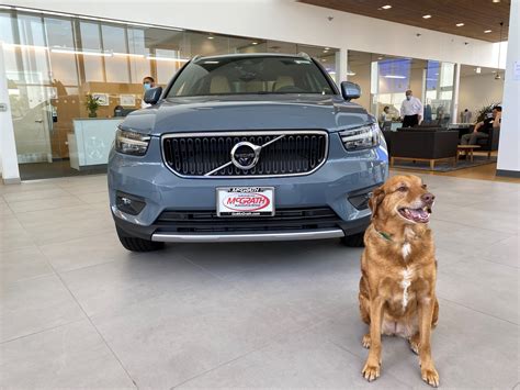 Dogs and Volvos - Our Two Favorite Things! | McGrath Volvo Cars Barrington