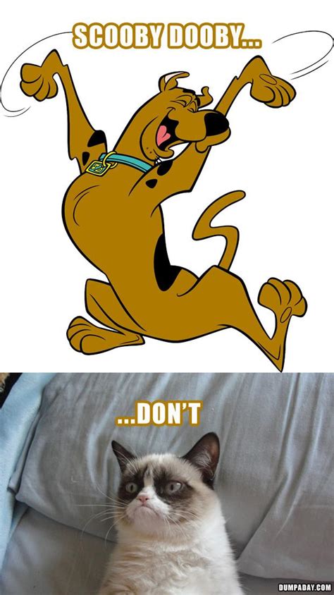 Scooby Doo Quotes Funny. QuotesGram