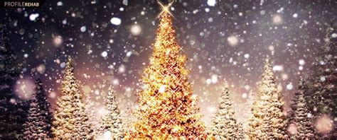 Free Christmas Facebook Covers for Timeline, Beautiful Christmas Season ...