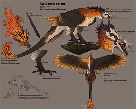 Avian creature | Mythical creatures art, Animal drawings, Fantasy ...