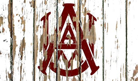 Alabama A and M Vintage College Logo Barn Wood Peeling Paint Mixed ...