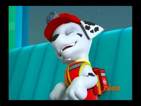 Marshall, the Dalmatian - PAW Patrol Photo (40125873) - Fanpop