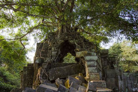 Fig Tree Tower | Beng Mealea, Cambodia---They once tore the … | Flickr