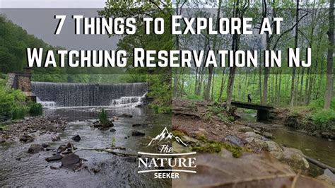 7 Things to Explore at Watchung Reservation NJ