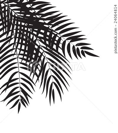 Beautifil Palm Tree Leaf Silhouette Background - Stock Illustration [24064814] - PIXTA