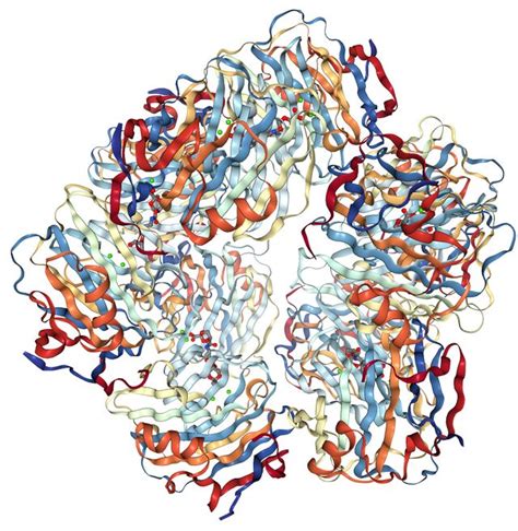 Serum amyloid protein - WikiLectures