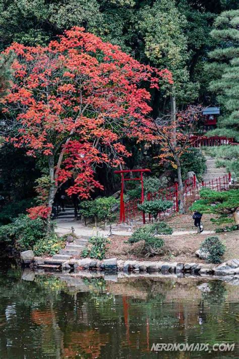 Autumn Colors At The 400 Years Old Shukkeien Garden, Hiroshima - Nerd Nomads