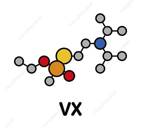 VX nerve agent molecule - Stock Image - C045/8221 - Science Photo Library