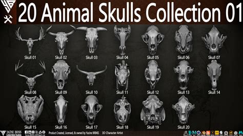 Yacine BRINIS Collectible Studios - 20 Animal Skulls Collection 01