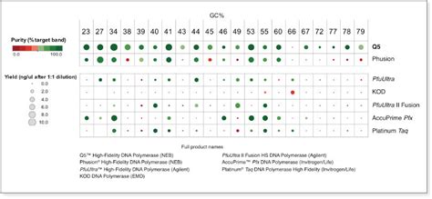 Q5 High Fidelity DNA Polymerase - New England Biolabs France