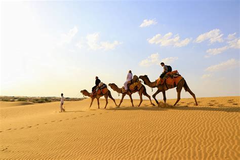 I rode a camel in the Thar desert in India. : travel