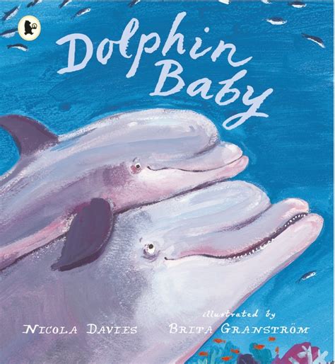 Walker Books - Dolphin Baby