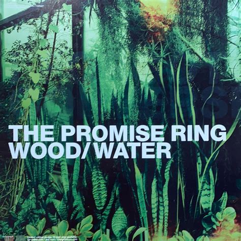 The Promise Ring - 2002 original vinyl poster insert 12x12 record art ...