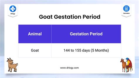 10+ Boer Goat Gestation Calculator - ShirazMaanvi