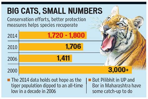 Good News! Tiger Population in India is Increasing