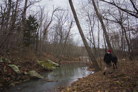 Only in Arkansas Three Hiking Trails Within 30 Minutes of Fayetteville ...