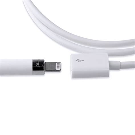 Apple Pencil Charging Adapter,Thankscase Apple Pencil Flexible Charging Adapter Cable for ...