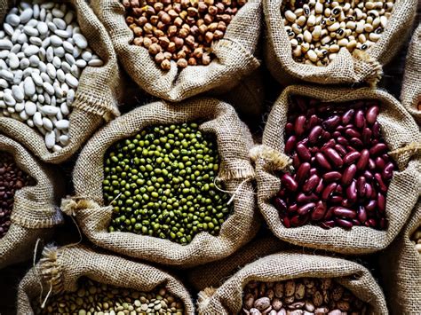 The Beaning of Life: 10 Common Types of Beans to Cook With