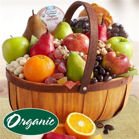 10 Best Organic Fruit Gift Baskets For Any Occasion – Treat Buyer