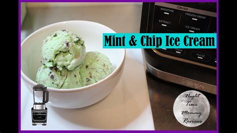 Ninja Kitchen System Ice Cream Recipes | Wow Blog