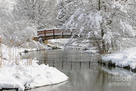 Toledo Botanical Garden 4.9.2016 3603 Photograph by Jack Schultz | Fine ...