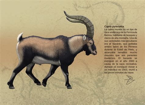 ArtStation - Pyrenean ibex. Iberian Stone Age.