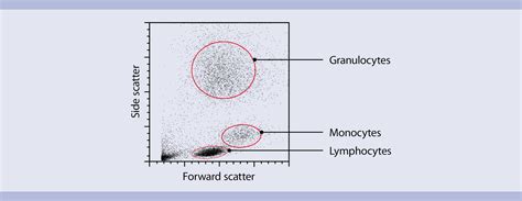 Flow cytometry basics | Miltenyi Biotec | USA